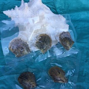 Reserved Bundle- 10 Oysters